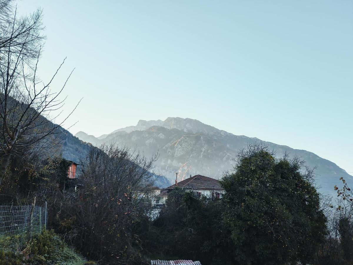 Mountain View Apartment Konitsa