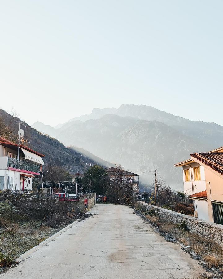 Apartment Mountain View Konitsa